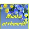 Otthoni kereseti lehet�s�g